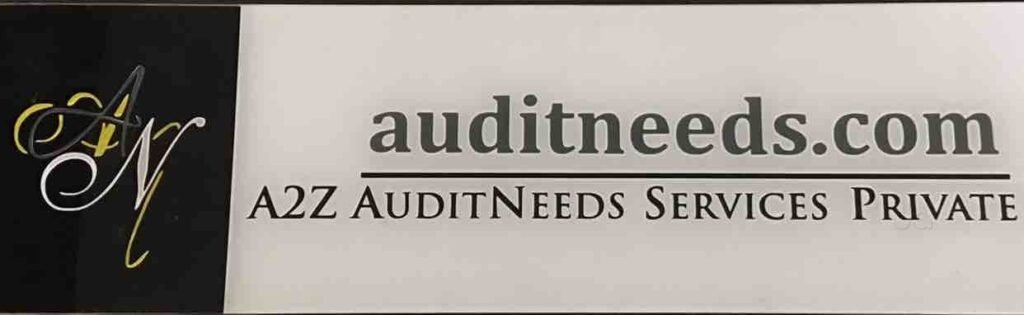 auditneeds-com-purasawalkam-chennai-auditors-1vhvxx2z9q1-1