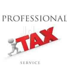 professional-tax-consultant-044pxx44.xx44.200722183219.p6q6-3hncfj8-1