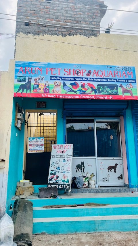 arun-pet-shop-chromepet-chennai-aquarium-accessory-dealers-q2rrhf88ew