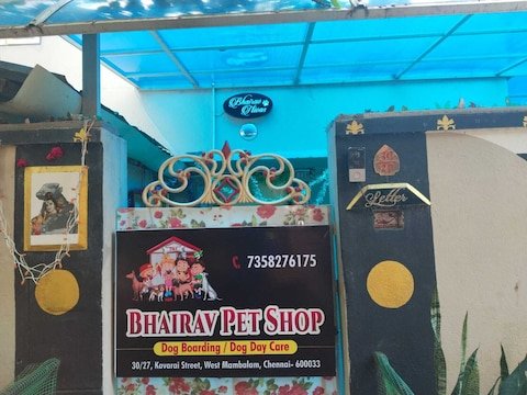 bhairav-nivas-west-mambalam-chennai-pet-shops-ub4d2fr6gu