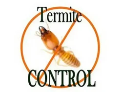 termite-pest-control-services-250×250-1