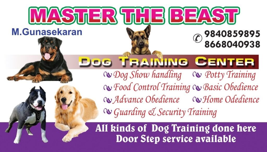 the-best-dog-training-center-tharamani-chennai-dog-trainers-pjnky3u8jt1