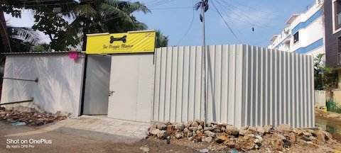 the-doggie-manor-kovilambakkam-chennai-pet-shops-Jg8QXEqpTp